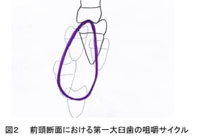 2017129162345.jpg