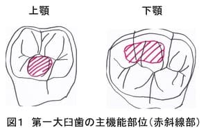 201712985039.jpg